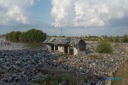 Jorok! Sampah Plastik Kepung Kampung Nelayan Tambakrejo Semarang