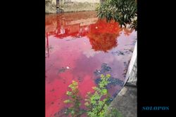 Viral Medsos! Air Sungai di Pasar Johar Semarang Berwarna Merah Darah
