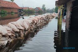 Banjir Rob di Pekalongan Dilawan 1.500 Karung Tanah