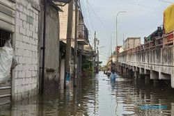 Banjir Rob Terjang Rumah Warga di Semarang Gegara Tanggul Jebol