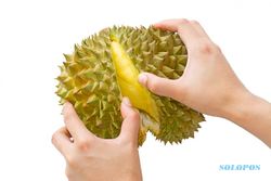 Bolehkah Ibu Hamil Makan Durian? Ini Penjelasannya