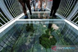 Bikin Merinding, Vietnam Punya Jembatan Kaca 150 Meter di Atas Jurang