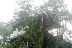 Hujan dan Angin Kencang Landa Jumapolo, Rumah Warga Tertimpa Pohon