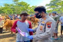 Tim Gabungan Cek 500 Hewan Ternak di Karanggede Boyolali, Hasilnya?