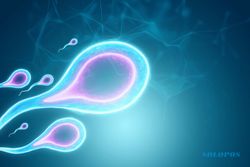 Benarkah Sperma Bisa Menyembuhkan Jerawat? Ini Penjelasannya