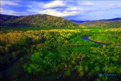 Harimau Jawa Terakhir Terdeteksi di Taman Nasional Meru Betiri Jatim