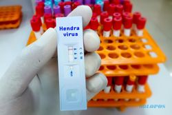 Virus Hendra Berpotensi Merebak di Indonesia? Ini Penjelasannya