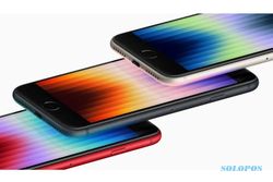 iPhone SE 2022 Hadir Bulan Ini, Harga Mulai Rp7,9 juta