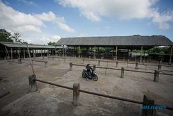Kasus PMK di Sragen Hampir 1.000 Ekor, Pasar Hewan Tetap Dibuka 5 Juli?