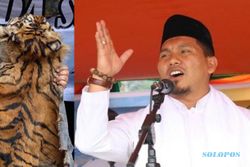 Kulit Harimau Sumatra Antar Eks Bupati Bener Meriah ke Penjara 2 Kali