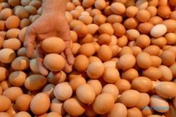 Harga Terus Meroket, Telur Ayam Jadi Penyumbang Terbesar Inflasi Solo