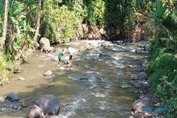 Terungkap! 50 Bangkai Kambing di Sungai Susukan Semarang Terpapar PMK