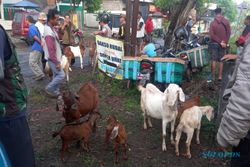 Pasar Hewan Ditutup, Begini Siasat Pedagang Ternak di Wonogiri