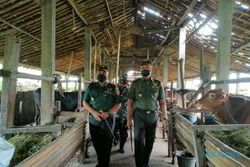Baru 3 Kodim di Soloraya yang Kerahkan Babinsa Bantu Tangani PMK