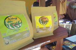 Kopi Ndorog, Bercita Rasa Fruitty dari Lereng Lawu Selatan di Wonogiri