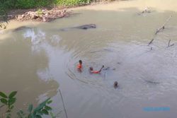 Kronologi Nenek 95 Tahun Hilang Diduga Hanyut di Sungai Mungkung Sragen