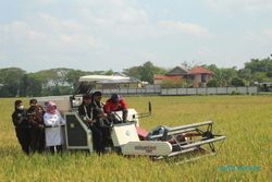 Panen Padi di Weru Sukoharjo, Mentan Puji Konsep Pertanian IP 400