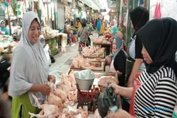 Harga Daging Ayam di Pasar Bunder Naik Rp2.000/kg