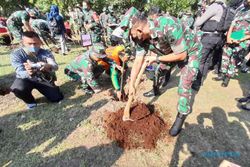 Wah, Ada 1.000 Pohon Eucalyptus di Urban Forest Solo Peninggalan Jokowi