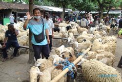 Jelang Iduladha, Jual Beli Hewan Kurban di Pasar Prambanan Klaten Lesu