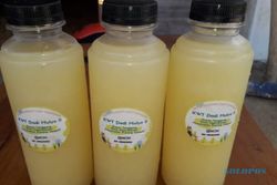 Bantu Petani Lemon di Wonogiri, Mahasiswa KKN IPB Lakukan Ini