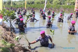 TNI AL Cetak Rekor MURI, Tanam 1 Juta Mangrove Serentak se-Indonesia