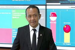 Menteri Investasi dan BP Batam Khawatir China Batal Investasi di Pulau Rempang