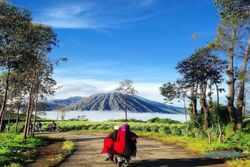 Desa Tertinggi di Jawa Timur, Hanya Dihuni Warga Suku Tengger