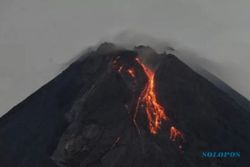 Kabar Gunung Merapi, Luncurkan Guguran Lava Pijar Sejauh 1.800 Meter