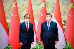 Presiden Jokowi Tawarkan Ekspor Nanas ke China dan Jepang