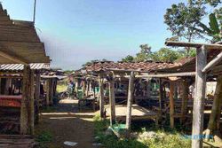 Lapak Bambu dan Minim Akses, Revitalisasi Pasar Desa Jemowo Butuh Rp1 M