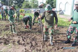 Kodim Klaten Tanam Jagung di Lahan 4.200 Meter Persegi, Ini Targetnya