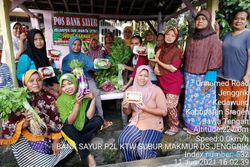 Inspiratif, Bank Sayur KWT Kedawung Sragen Ini Beri Solusi Masalah Warga