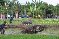 Rayakan HUT RI! Pembajak Sawah Ikuti Balap Traktor di Kebonarum Klaten