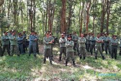 Patroli Gabungan di Hutan Wonogiri, Ini yang Dilakukan Perhutani