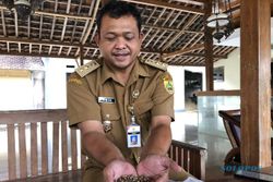 Pemdes Sukorejo Sragen Dorong Warga Konsumsi Pakan Burung Gantikan Beras