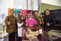 IPB Kembangkan Ayam Pedaging D1, Ini Keunggulannya