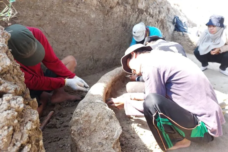 Lagi, Fosil Gading Gajah Berusia Jutaan Tahun Ditemukan di Situs Patiayam Kudus