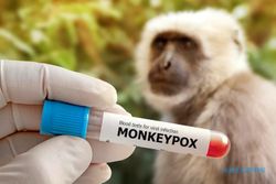 WHO Ubah Nama Monkeypox Jadi Mpox