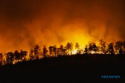 Hutan Jati di Taman Nasional Baluran Kabupaten Situbondo Terbakar