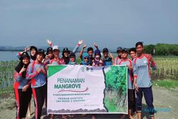 Joss! SMAN 8 Semarang Tanam 1.700 Bibit Mangrove di Pantai Mangunharjo