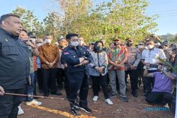 Ini Manfaat Kelapa Genjah, Tanaman Andalan Presiden Jokowi di Sukoharjo