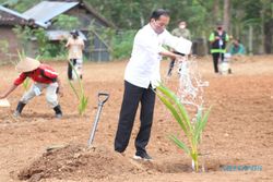 Kunjungan ke Sukoharjo, Presiden Minta Industrialisasi Kelapa Genjah