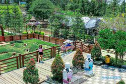 Berikut Tempat Wisata di Semarang yang Cocok untuk Liburan dengan Anak