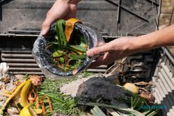 Ketahui Dampak Buruk Sampah Makanan terhadap Lingkungan