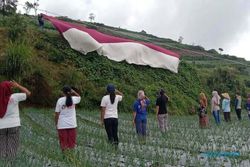 HUT ke-77 RI, Warga Boyolali Kibarkan Bendera Raksasa di Lereng Merbabu