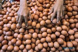 Harga Pangan di Jateng Hari Ini: Telur Ayam Rp26.400/Kg, Beras Rp11.700/Kg