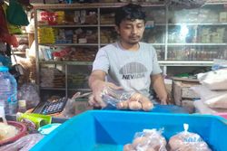 Tertinggi dalam Sejarah, Harga Telur Ayam di Wonogiri Meroket Rp30.000/Kg