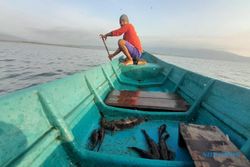 Dasar Larangan Gunakan Branjang yang Bikin Rusak Populasi Ikan di WGM Wonogiri