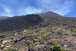 Gunung Slamet Berstatus Waspada, Masyarakat Diimbau Menjauh 2 Km dari Puncak